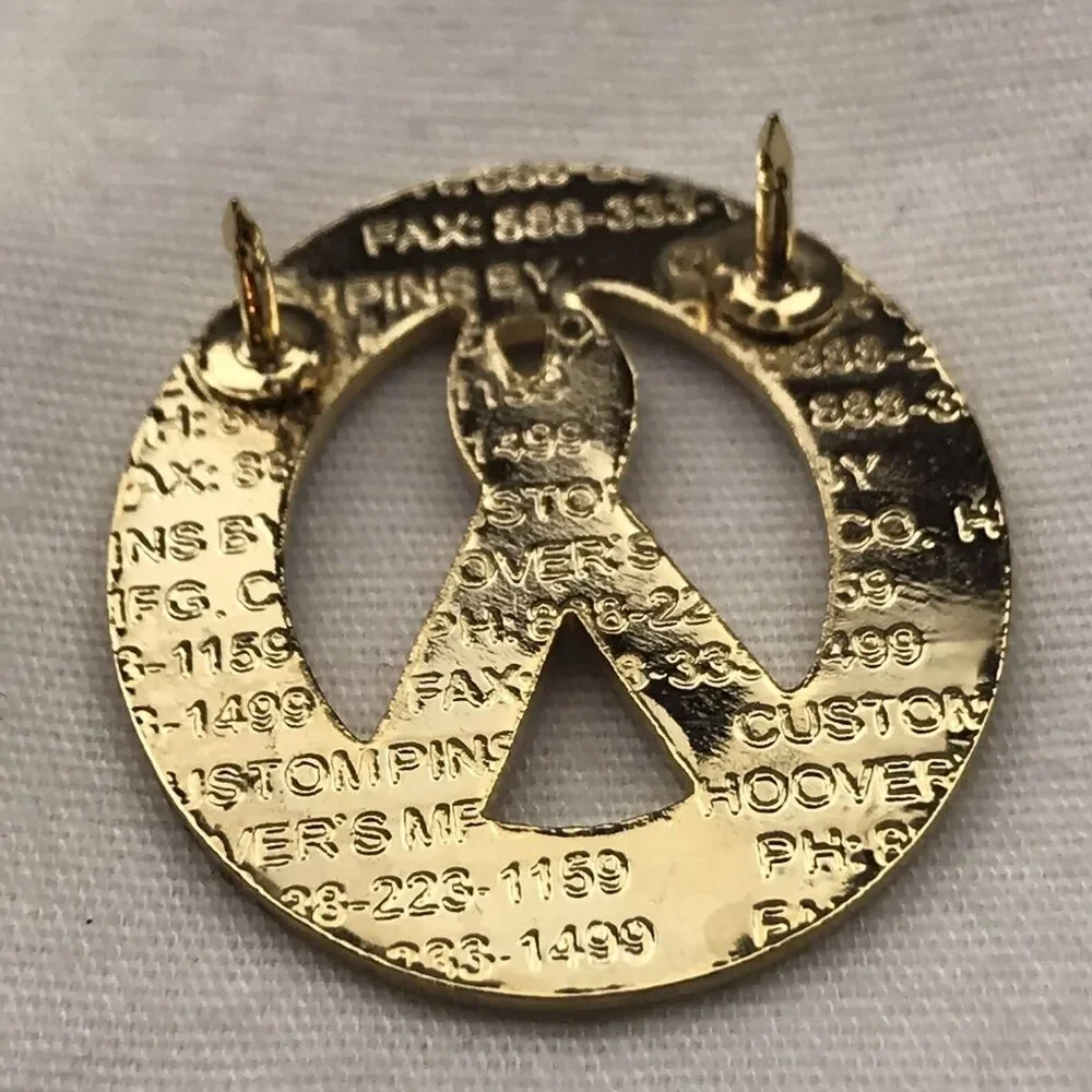 AMVETS Illinois State Commander Pin Ed Wright 2007-2008 Patriotic Collectible